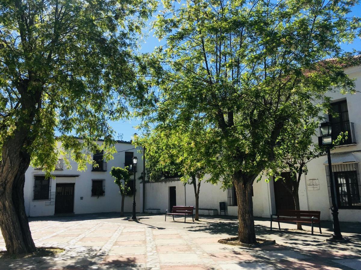 Apartamento El Refugio De Mecina Mecina Fondales Eksteriør bilde